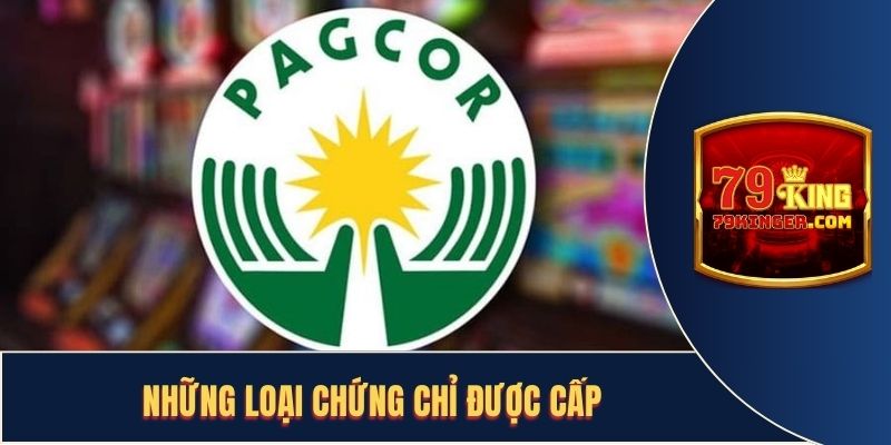 Những loại chứng chỉ được cấp