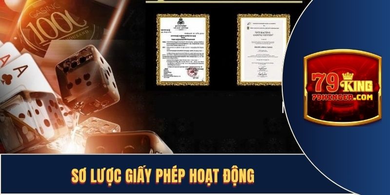 Sơ lược giấy phép hoạt động